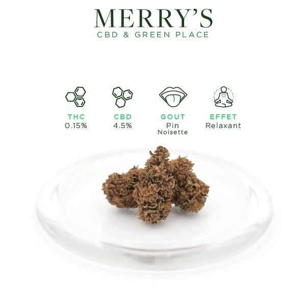 HARLEQUIN FLEUR CBD GREENHOUSE HARLEQUIN FLEUR CBD GREENHOUSE