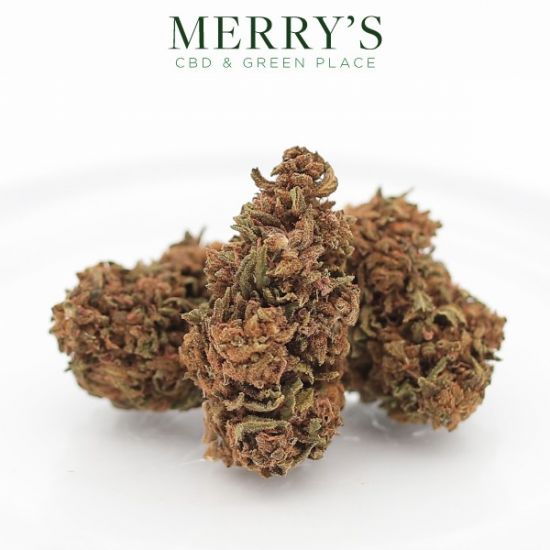HARLEQUIN FLEUR CBD - PACK 10G