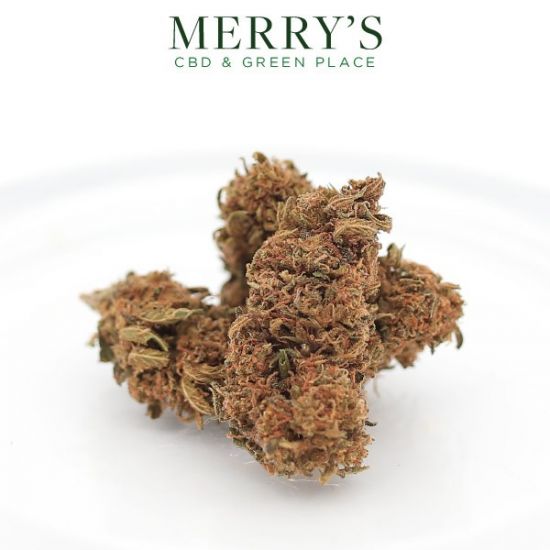 10 G - ORANGE BUD FLEUR CBD