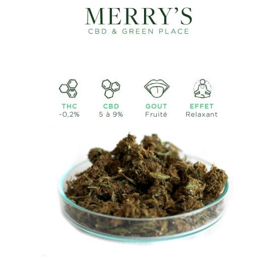 MIX CBD SMALL BUD - 5G