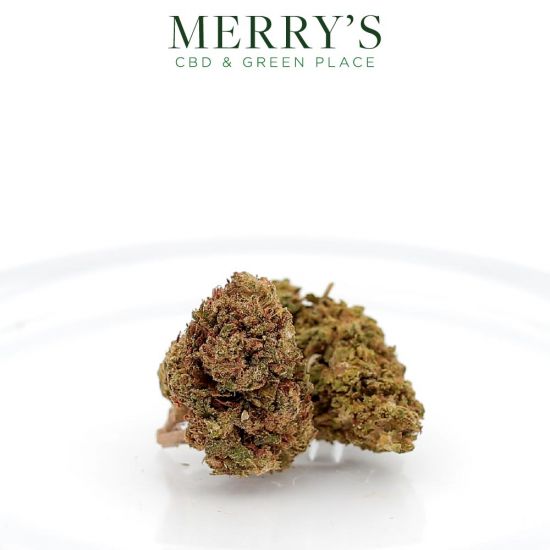 10 G - LEMON DIESEL CBD PROMO