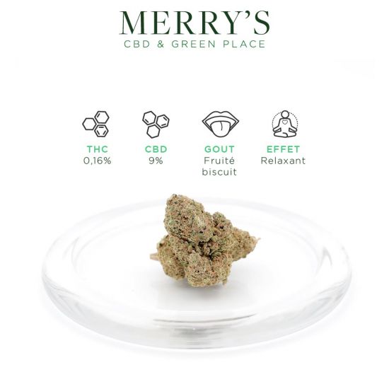 10 G - GMO COOKIES CBD PROMO