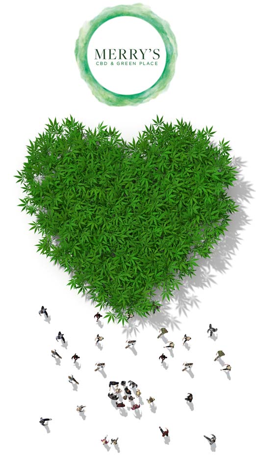 Livraison Cbd Merry's Love